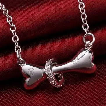 Серебро 925 ожерелья собачья кость Модные женские ювелирные изделия чокер с