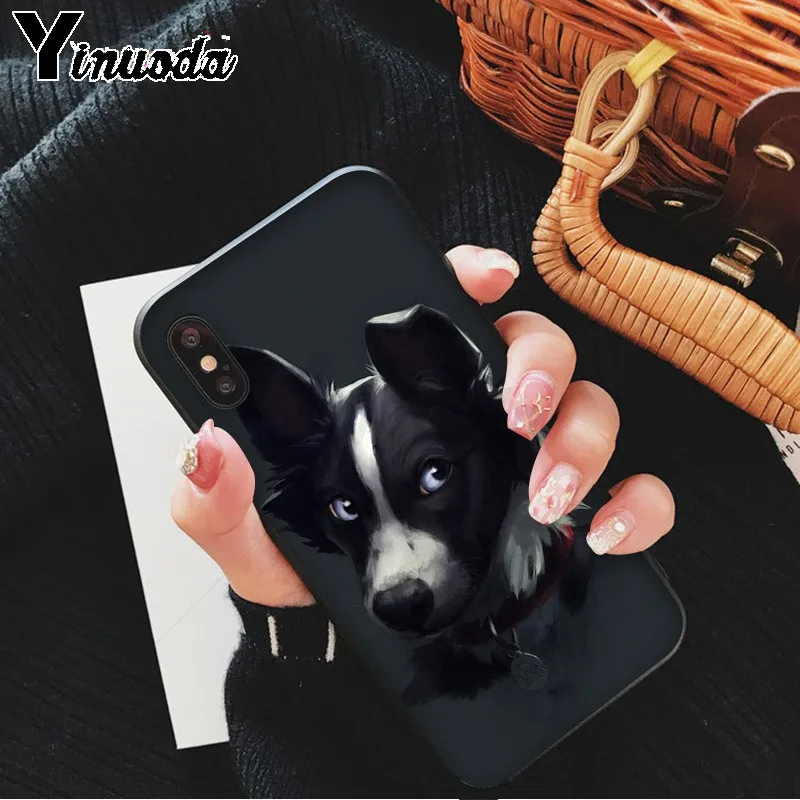 Yinuoda милый Border collie Dog Новый чехол для телефона Fundas Apple iPhone 8 7 6 6S Plus X XS MAX 5 5S SE XR