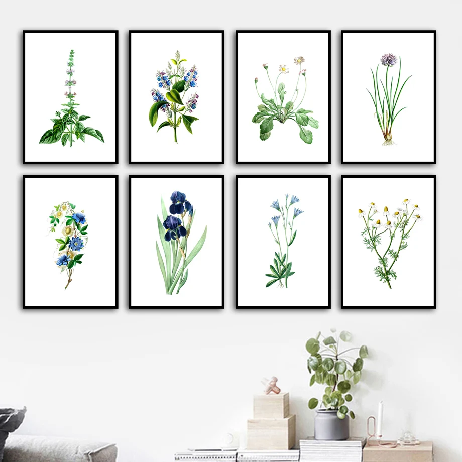 

Wall Art Canvas Painting Daisy Bluebell Basil Aster Herb Nordic Posters And Prints Wall Pictures For Living Room Kitchen Decor