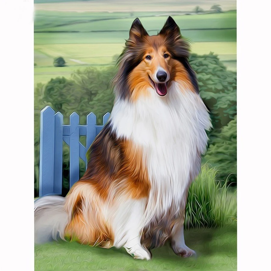 Алмазная вышивка Collie 3d полная картина Стразы рукоделие с бриллиантами Алмазная краска картина животные милая собака