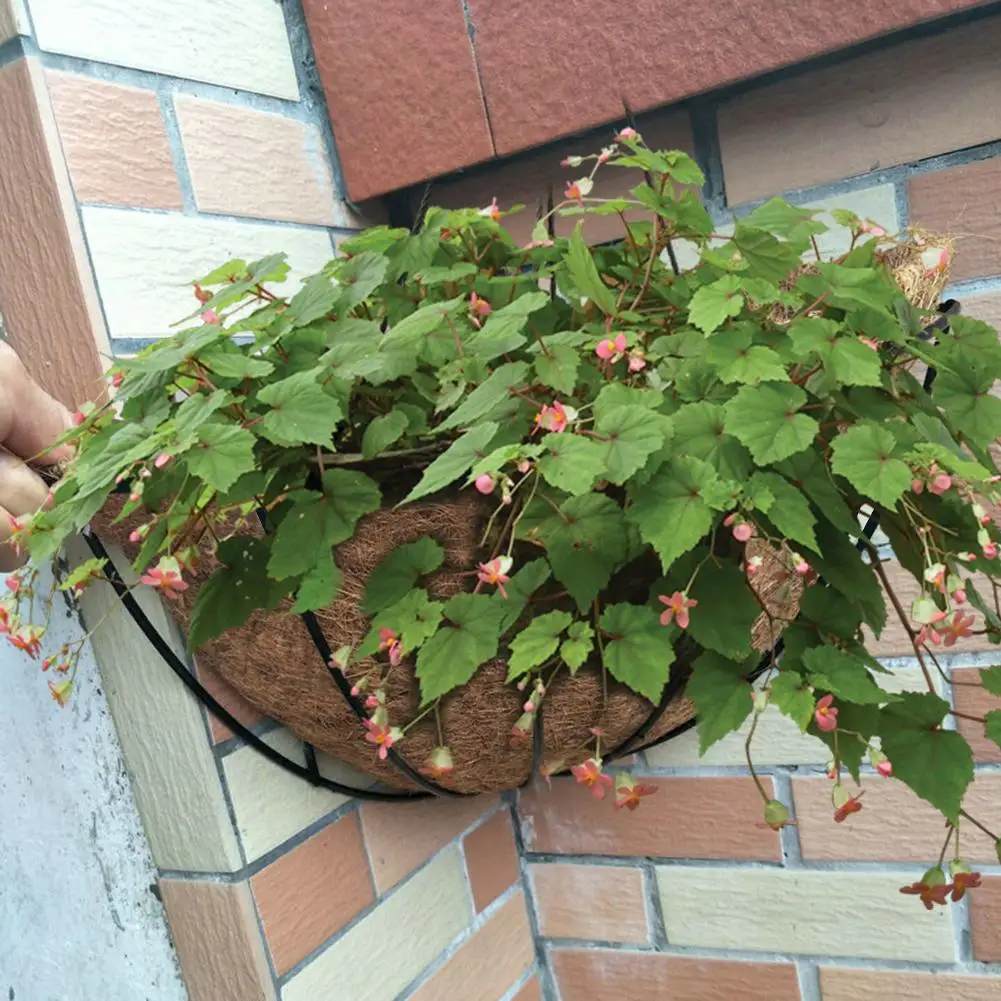 Европейский стиль треугольные висячие корзины для растений железо + Кокосовая