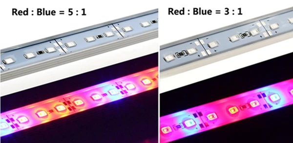 Jiguoor 12 в пост. Тока 6 Вт 50 см 5630 SMD красный: синий 3:1/5:1 жесткая лента для выращивания