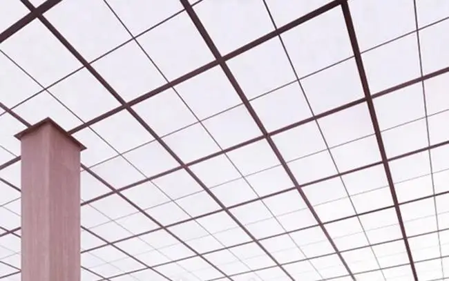 Полупрозрачная эластичная потолочная пленка ПВХ украшение для потолка|ceiling
