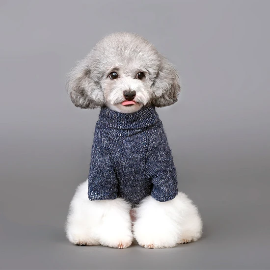 Новинка осенне зимний свитер для маленьких собак пальто зимняя одежда куртка с