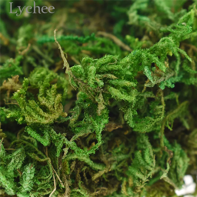 Искусственный сухой зеленый мох Lychee Life 10 г искусственное растение для сада