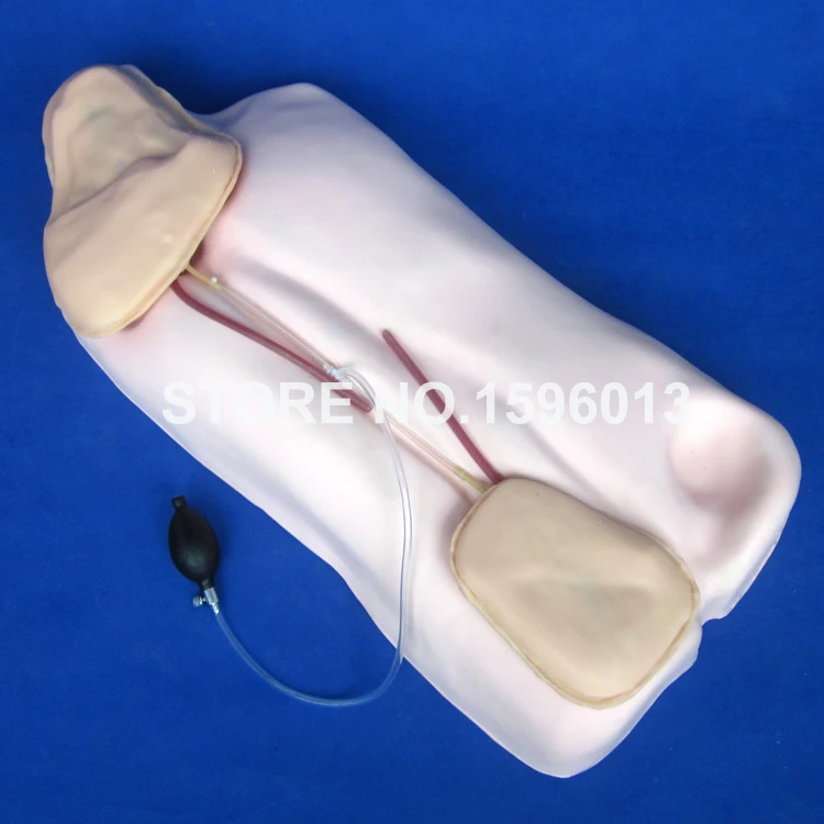 Центральный Венозный Катетеризация Учебная модель медицинский торс Сестринское