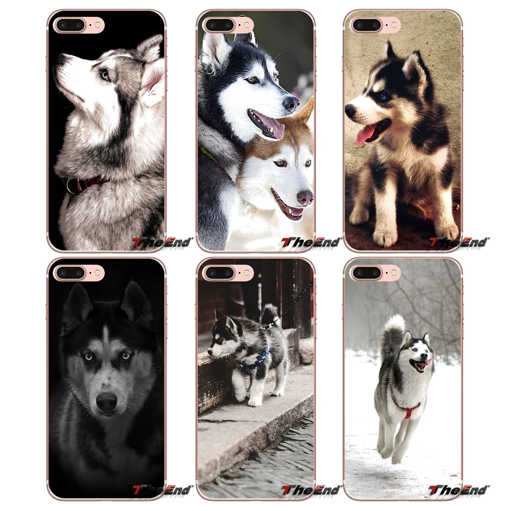 Чехол из ТПУ для iPhone X 4 4S 5 5S 5C SE 6 6S 7 8 Plus Samsung Galaxy J1 J3 J5 J7 A3 A5 2016 2017 Husky puppy Siberian Huskies