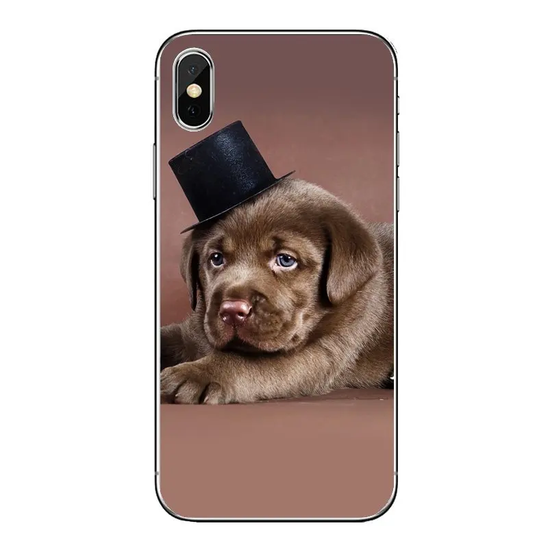 Забавные мягкие прозрачные чехлы для iPod Touch iPhone 4 4S 5 5S 5C SE 6 6S 7 8 X XR XS Plus MAX |