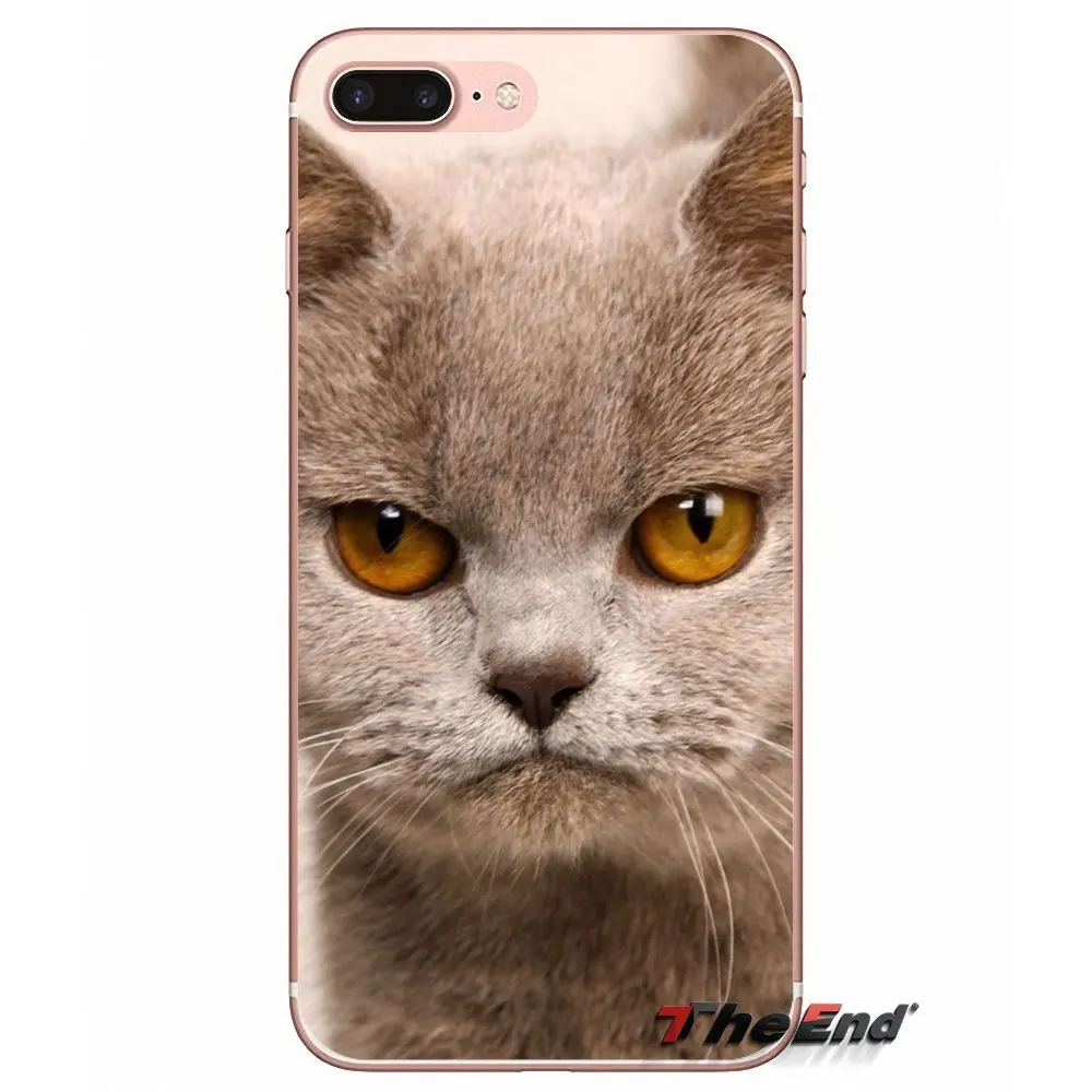 Кошачья одежда очки Забавный силикагель ТПУ чехол для samsung Galaxy S2 S3 S4 S5 MINI S6 S7 edge S8
