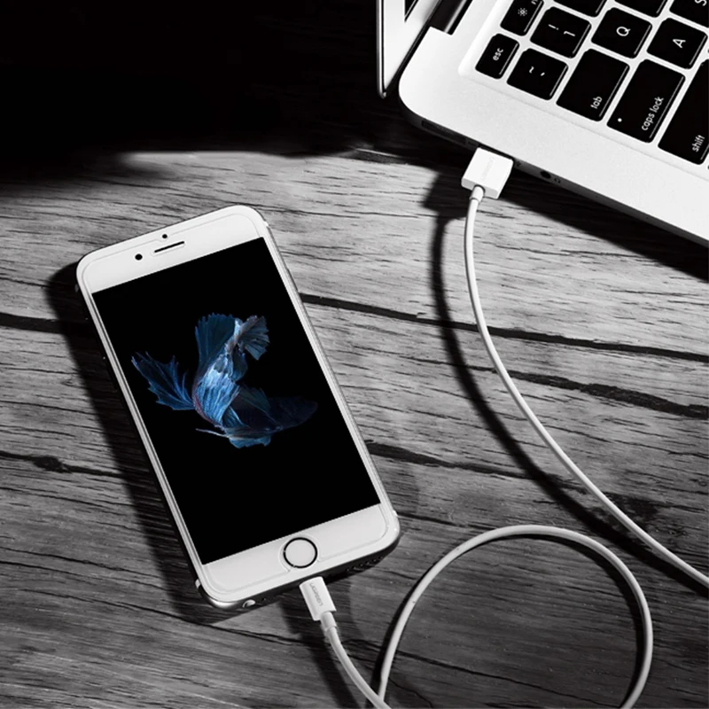 10 футов 3 м длинный зарядный кабель для iPhone 8 Plus 7 6s 5s SE X метра MFI сертифицированный