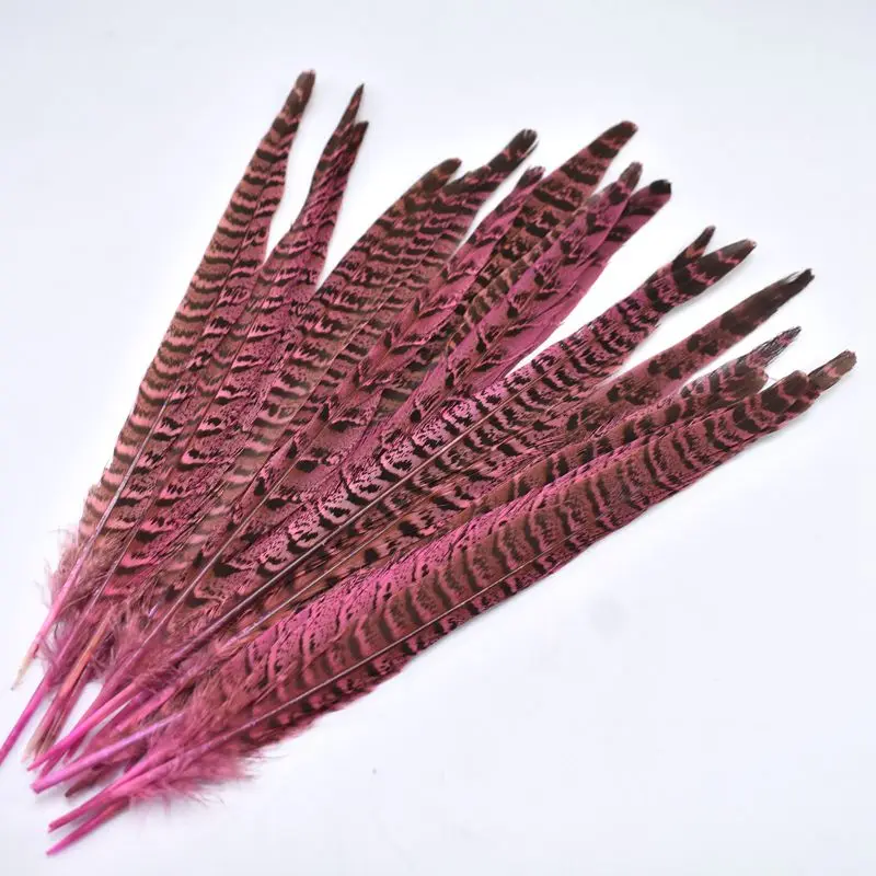 pink 10 шт./лот натуральные перья из хвоста фазана для рукоделия 10-12 дюймов красочные перья для изготовления украшений украшения для вечеринок своими руками Шлейфы - Цвет: pink