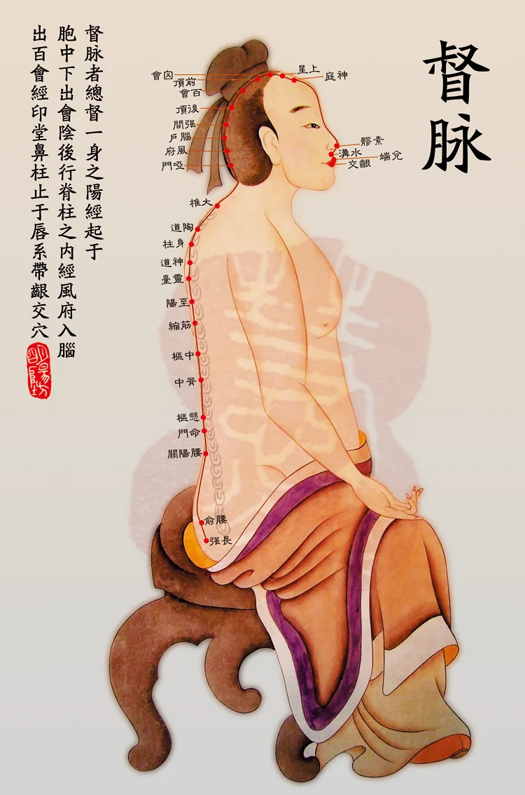 Архаизированная настенная схема акупунктурных точек судна губернатора Du Mai