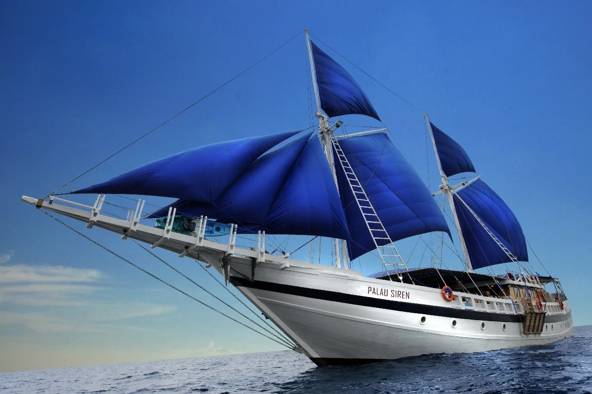 Palau Siren для дайвинга и круизного судна PQX241 Настенный декор с индивидуальным