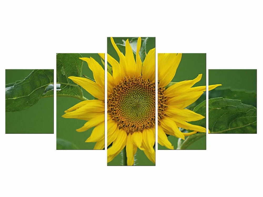 5 шт. Настенная картина с изображением подсолнуха|picture for living room|modular picturesart poster |