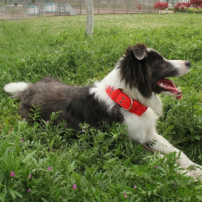 1,2-2 дюйма Ширина утолщение собачий ошейник большого размера нейлоновый ошейник для щенка Husky Pitbull ошейник для домашних животных средних/больших собак Petshop воротник Перро
