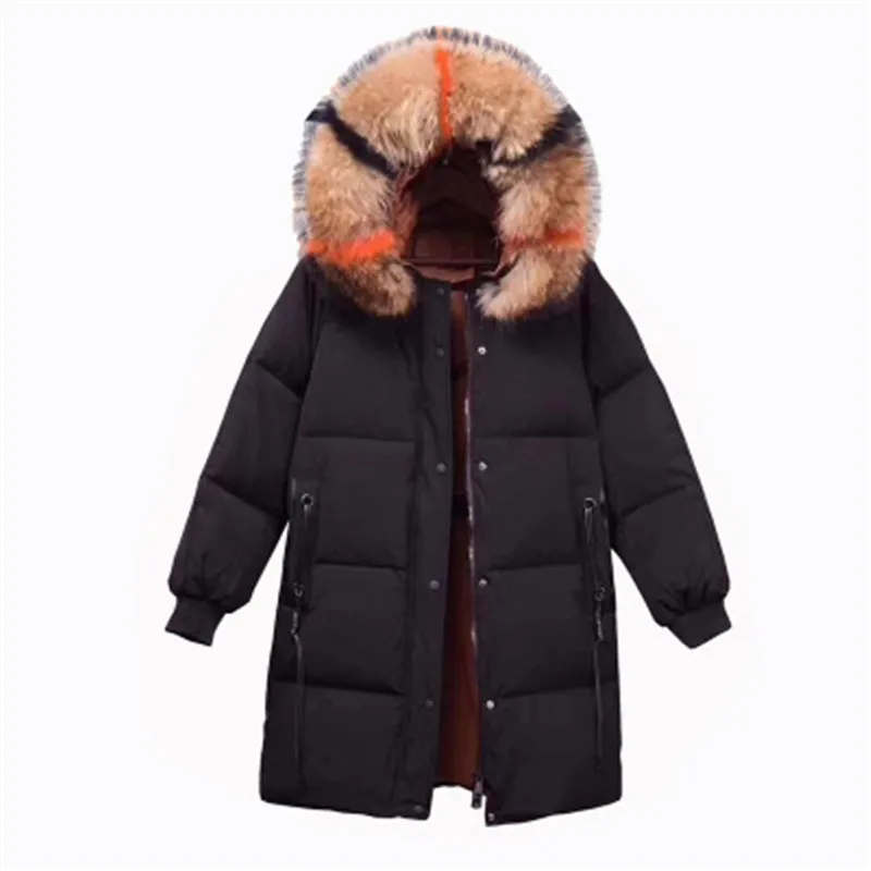 Новинка 2019 зимний пуховик модная трендовая Свободная куртка с меховым