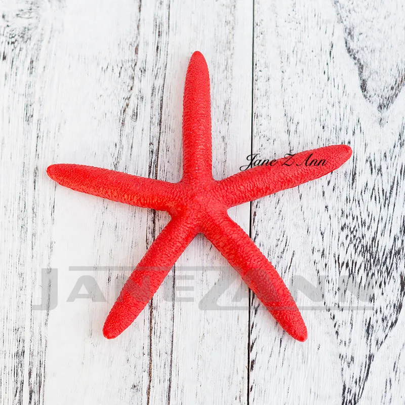 Jane Z Ann Newborn Photography Creative posing props Ocean theme Studios photo shoot accessories starfish ship fishes props