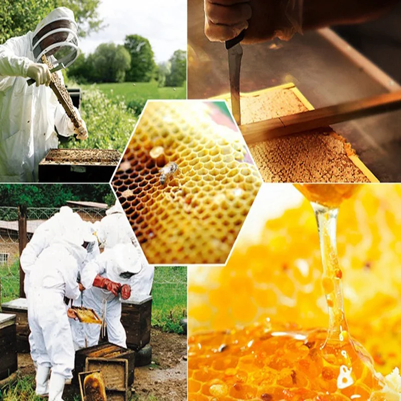 Белая одежда с защитой от пчелы защитная и шляпа черный сетчатый инструмент для