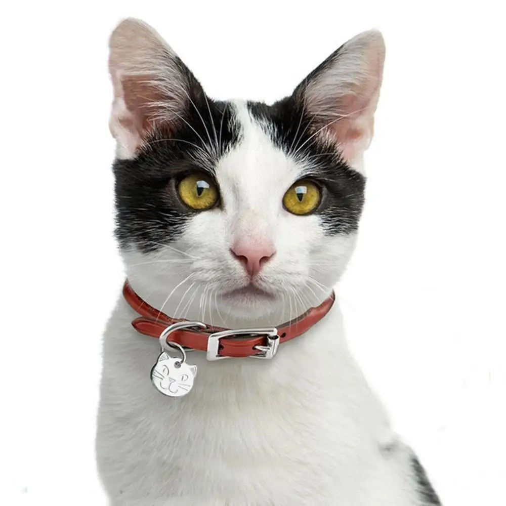 

Personalized Cat ID Tag Engraved Cats Name Tags Paw Print Customized Name Plate Dog Cats Kitten Accessories
