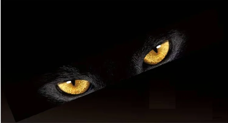 Левая сторона автомобиля наклейка и индивидуальный полосатый Автомобиль