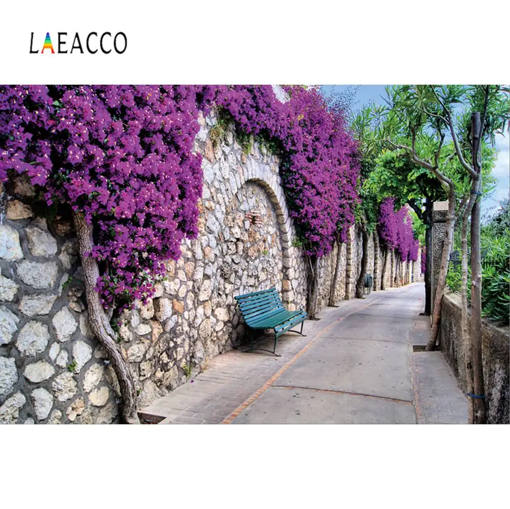 Laeacco фотофоны с изображением старого камня стены цветка аллеи города для