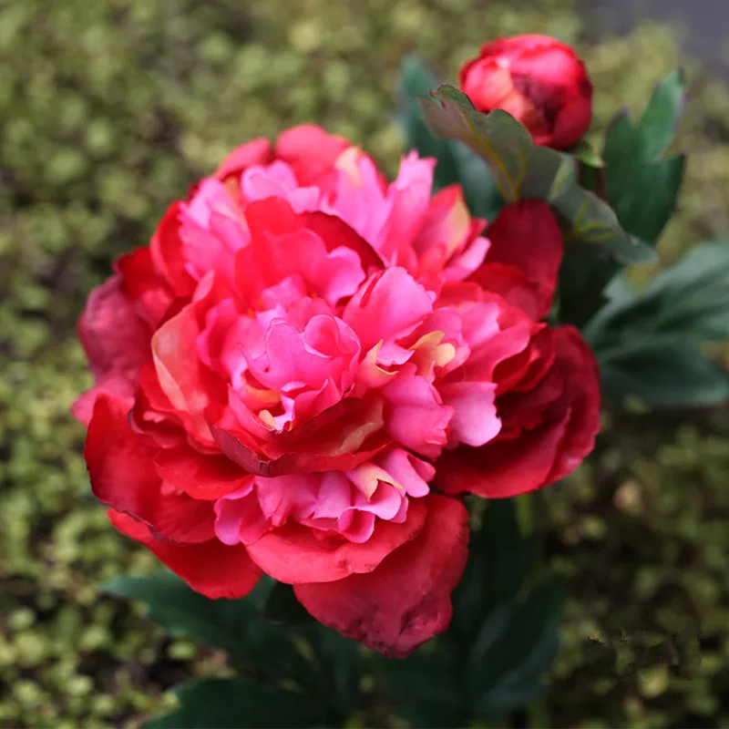 Rose red Один Филиал искусственный цветок 60 см шелк пион Высокое качество красивое украшение дома искусственный цветок для свадьбы невесты держа цветок - Цвет: Rose red
