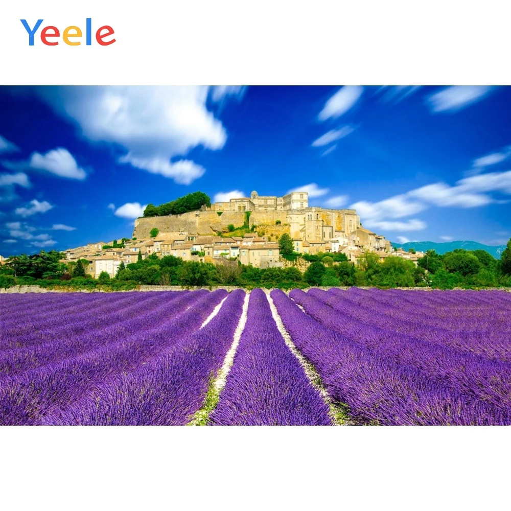 Yeele небо облака Лаванда деревня лес праздник фотографии фоны индивидуальные