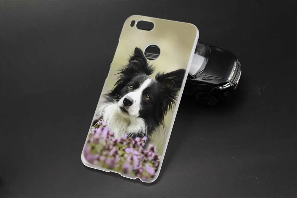 Мягкий силиконовый чехол Border Collie Dog для Xiaomi redmi 9a 8a 7a 6a 5a note 9 8 7 6 Pro 8t 9s y3|Бамперы| |