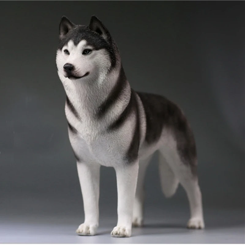 Модель Mnotht 1/6, модель Siberian Husky, игрушки для моделирования, модель собаки для 12 дюймов, фигурка, игрушка l30, коллекция, хобби, PRE-SALE