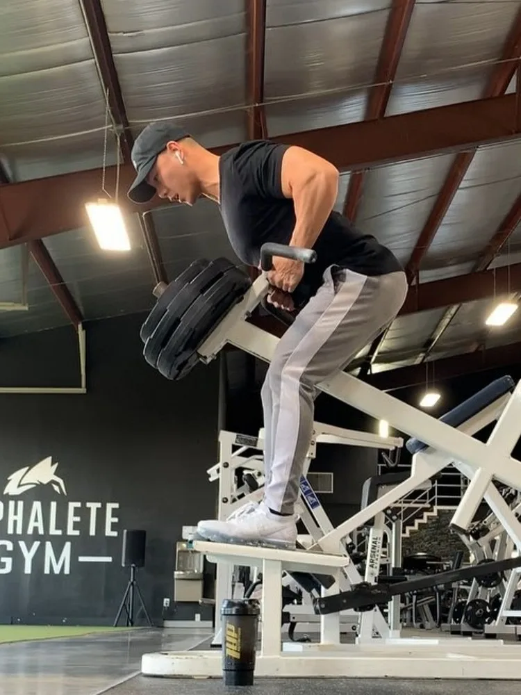 Alphalete, мужские повседневные брюки для пробежек, фитнес, мужская спортивная одежда, спортивный костюм, штаны, обтягивающие спортивные штаны, спортивные штаны, спортивные штаны