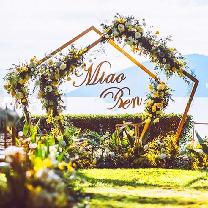 Новый стиль свадебные Большие Железные круглые кольца Арка Рама фоновое