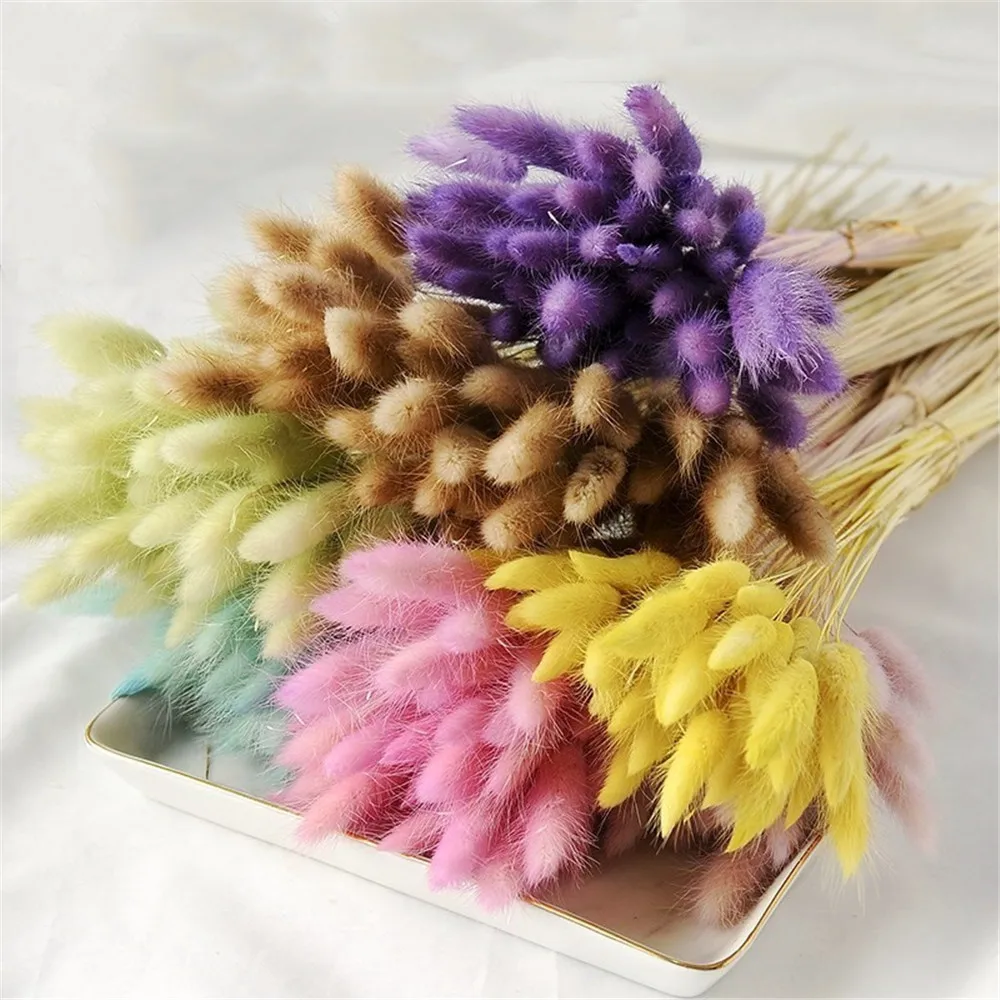 

50pcs Purple natural flower bouquets dried bouquets rabbit tail grass flower bouquets