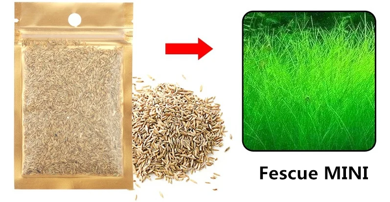 Fescue MINI Легко выращивать аквариумные растения вода трава Семена аквариум декорация для аквариума Пейзаж орнамент водоросли - Цвет: Fescue MINI