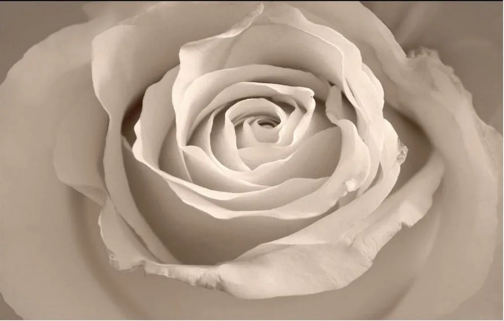 Декоративные обои 3d с изображением белых роз стереоскопические для украшения