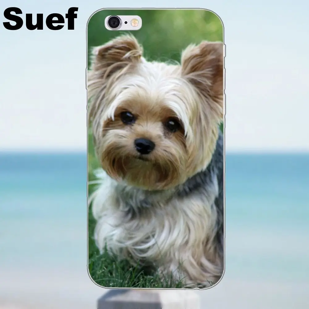 Suef йоркширский терьер собака щенок для iPhone 4 4S 5 5S 5C SE 6 6S 7 8 Plus X Samsung Galaxy J1 J3 J5 J7 A3 A5 2016