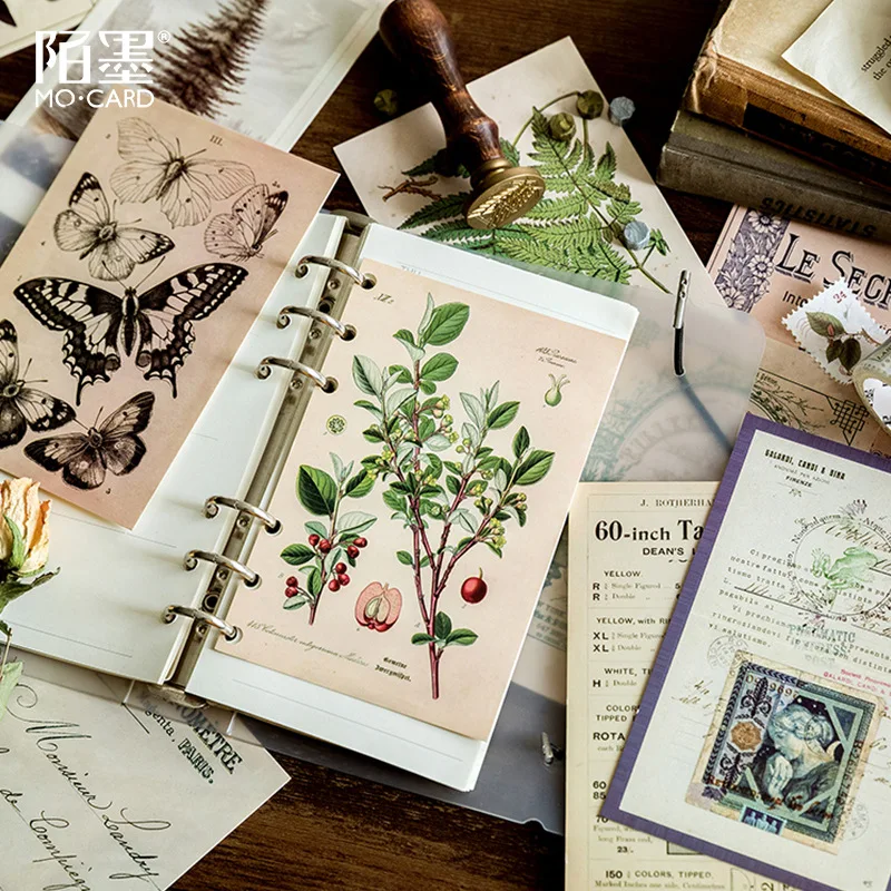 30 листов/уп листьев растений Почтовые открытки гриб завод балл тема Винтаж