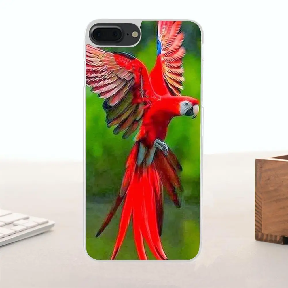 Bixedx Blue Ringneck Parrot для Galaxy Alpha Core Note 2 3 4 S2 A10 A20 A20E A30 A40 A50 A60 A70 M10 M20 M30 TPU Mobile Shell|Бамперы| |
