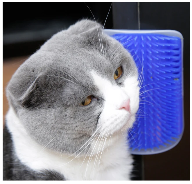 

Pet cat Self Groomer Grooming Tool Hair Removal Brush Comb for Dogs Cats Hair Shedding Trimming Cat Massage Device with catnip