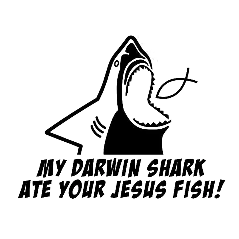 17 1 см * 13 5 My Darwin Shark модная виниловая Автомобильная наклейка для стайлинга Декор S4
