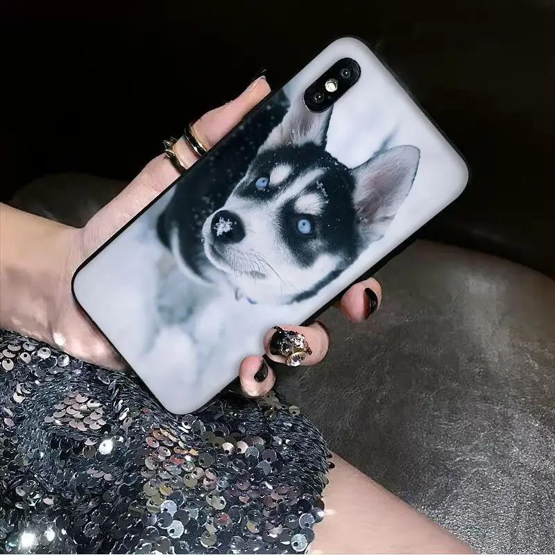 Babaite Animal dog husky Soft Silicone black Phone Case for Apple iPhone 8 7 6 6S Plus X XS MAX 5 5S SE XR Cover | Мобильные