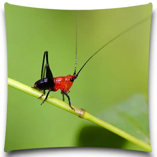 Подушка без внутренней ткани креативная насекомое полиэстер квадратный