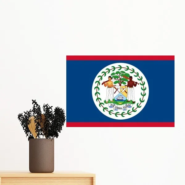 Наклейка на стену с изображением флага настенная роспись цветные обои наклейка