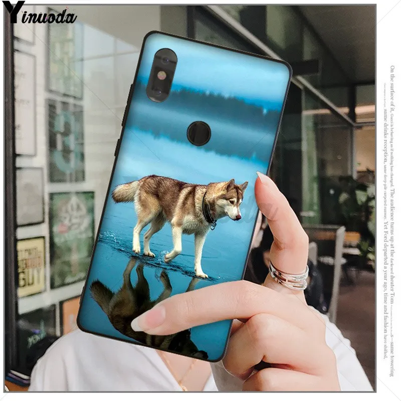 Чехол для телефона Yinuoda с изображением милого щенка Хаски Xiaomi Redmi 5 5Plus Note4 4X Note5 6A Mi 6
