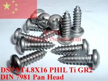 

Titanium screws 4.8X16 DIN 7981 PHIL Driver Ti GR2 Polished 50 pcs