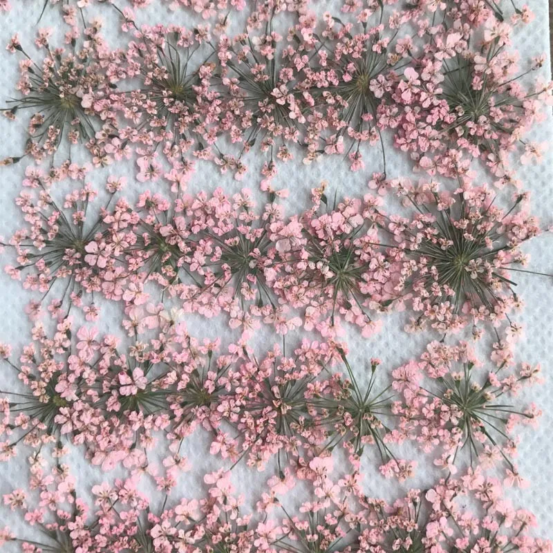 

2018 Pink Minoan Lace Flower Wedding Decoration flower wholesale free shipment 1 pack / 30 Pcs