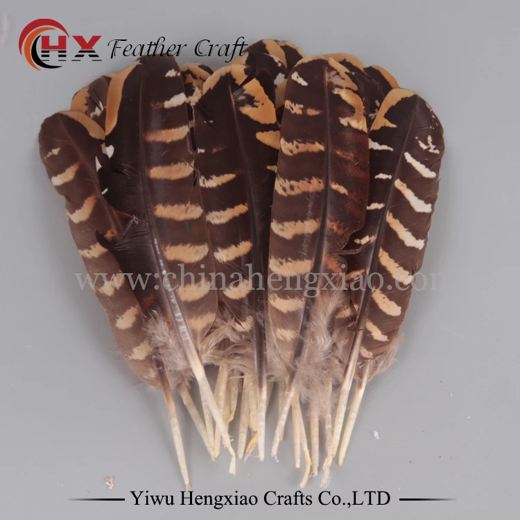 

10 pcs/lot Brand New 10-15cm Pheasant Wing Feathers For Wedding Party Millinery Art Craft Home Decoration