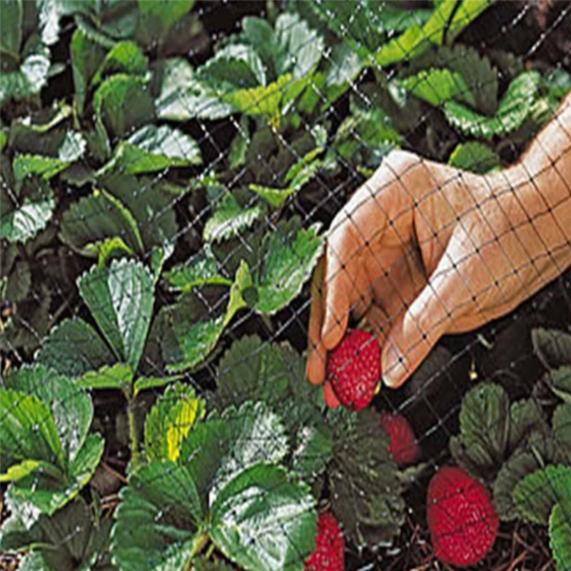 Gardening Pest Control Bird Net Polyethylene Anti Netting Pond Crops Fruit Tree Vegetables Protection Flower Garden Mesh Protect |