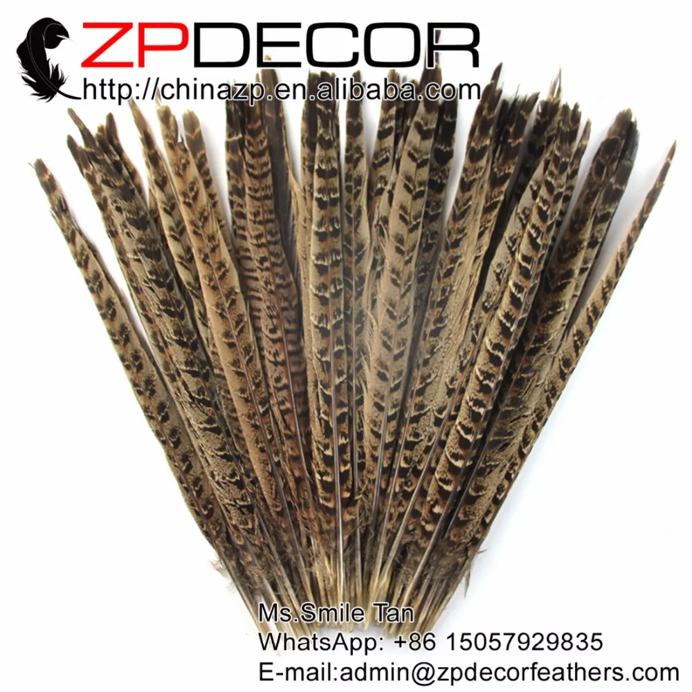 

ZPDECOR 100 шт./лот 30-35 см (12-14 дюймов) непосредственно окрашенные серые перья из хвоста фазана для украшения карнавального костюма
