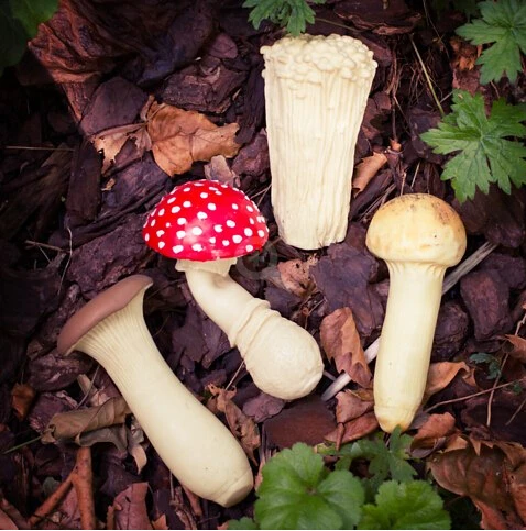 Free Shipping 1pc 2014 Creative Stress Mushroom Plants Squeeze Toy Novelty Tempting Mushroom- Enoki | Игрушки и хобби