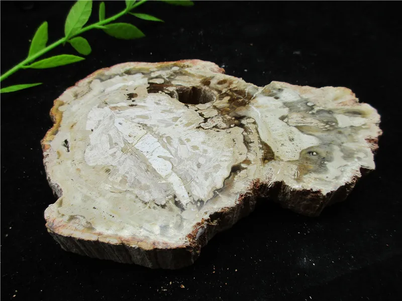 Natural Wood Root Fossil Crystal Stone Rock Healing Gemstone Specimen Mineral Gem For Collection | Дом и сад